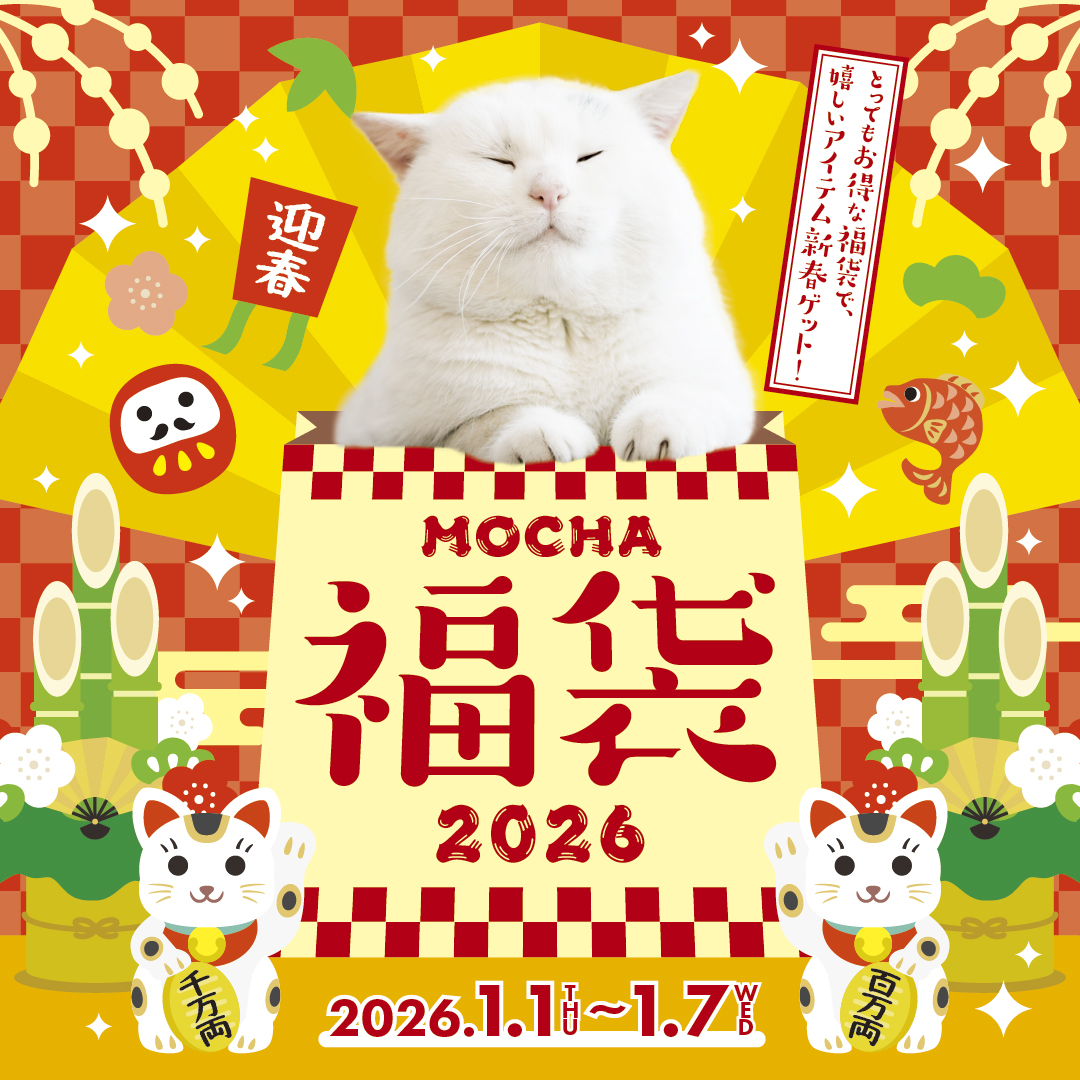 ✨にゃんとも可愛い福袋2026✨