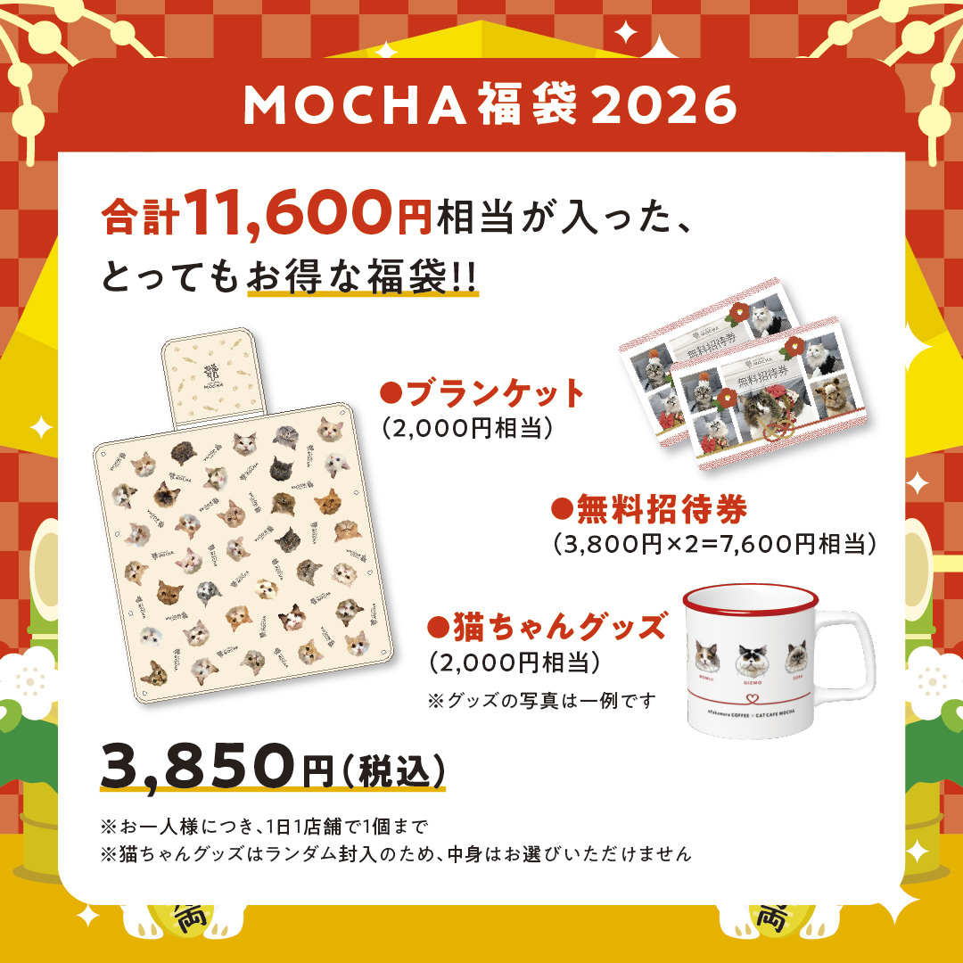 ✨にゃんとも可愛い福袋2026✨