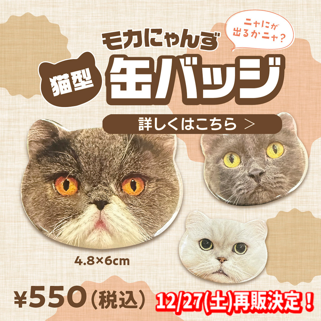 ✨モカにゃんず猫型缶バッジ 再販決定✨