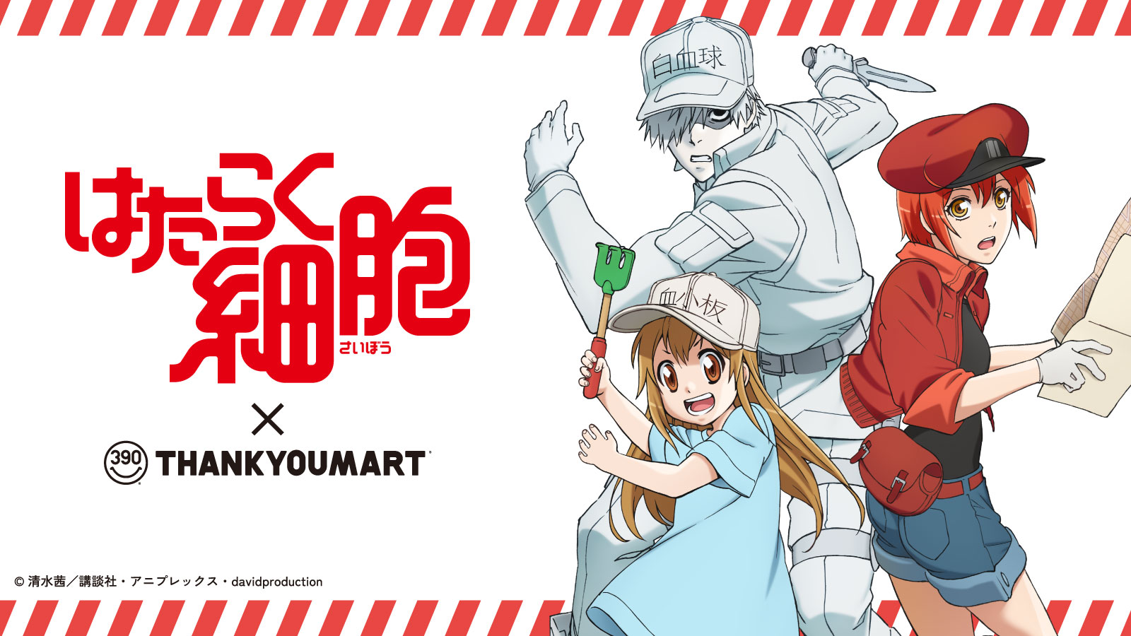 『はたらく細胞』の 限定アイテムが新登場！