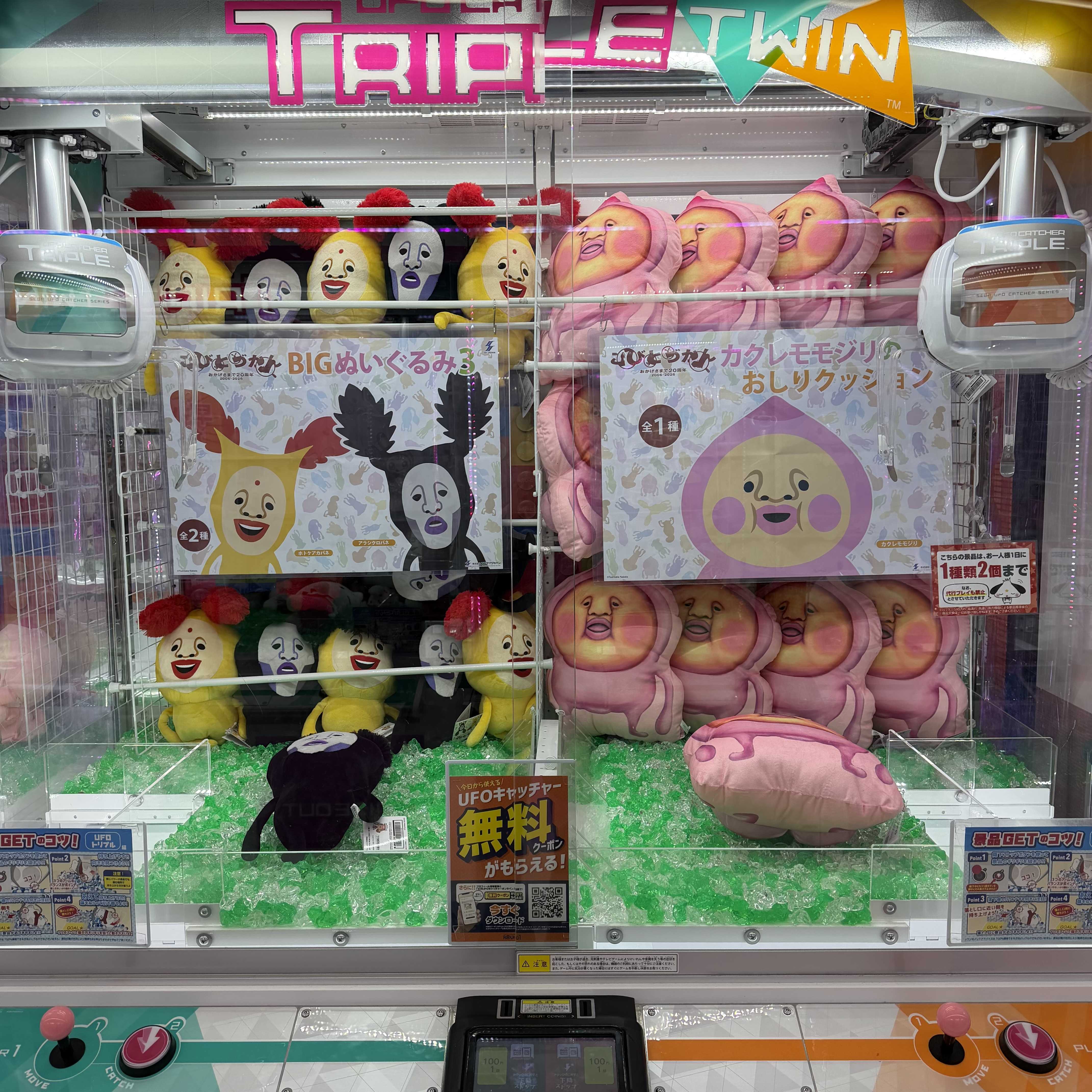 こびとづかんたくさんいます…！