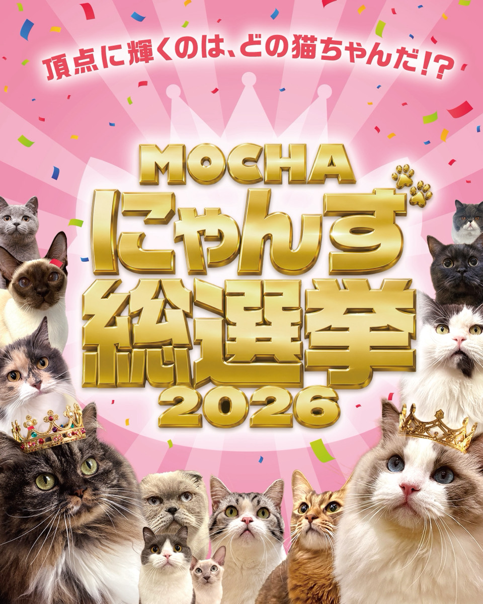 にゃんず総選挙開幕！