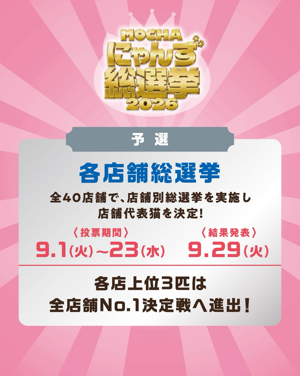 にゃんず総選挙開幕！