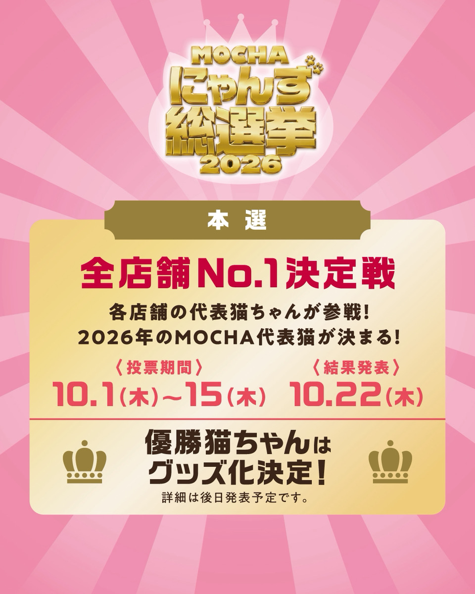 にゃんず総選挙開幕！
